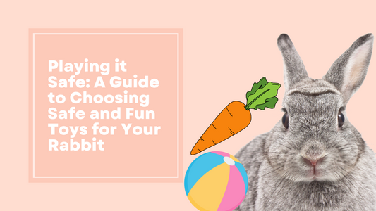 Playing it Safe: A Guide to Choosing Safe and Fun Toys for Your Rabbit