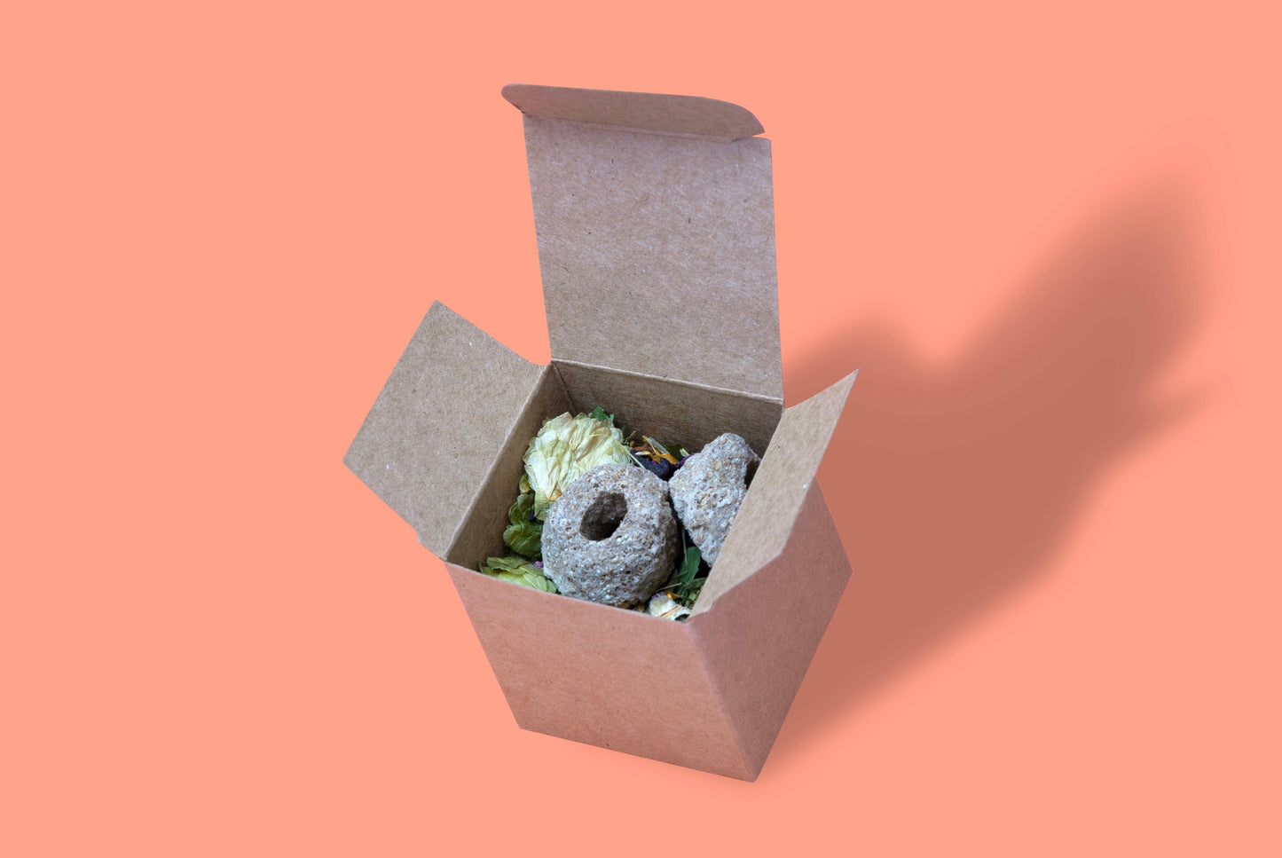 Mini Forage Box Toys - Homemade For Pets