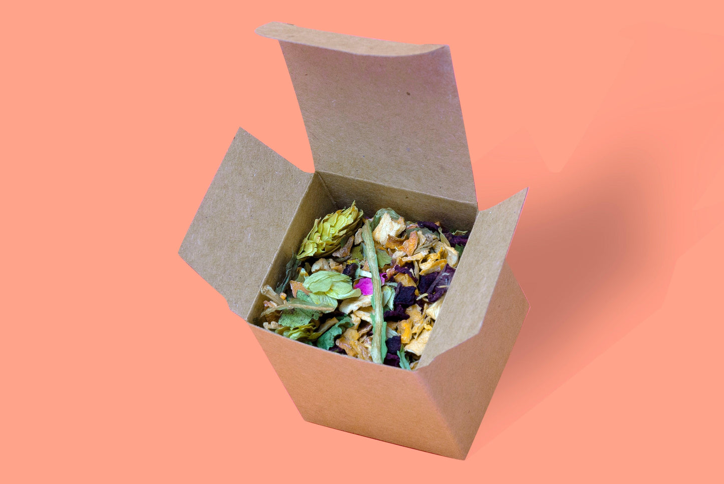 Mini Forage Box Toys - Homemade For Pets