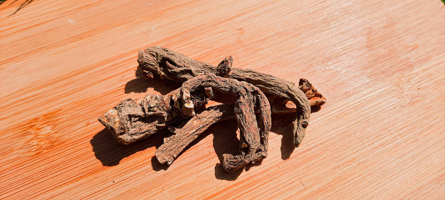 Dandelion Roots - Homemade For Pets