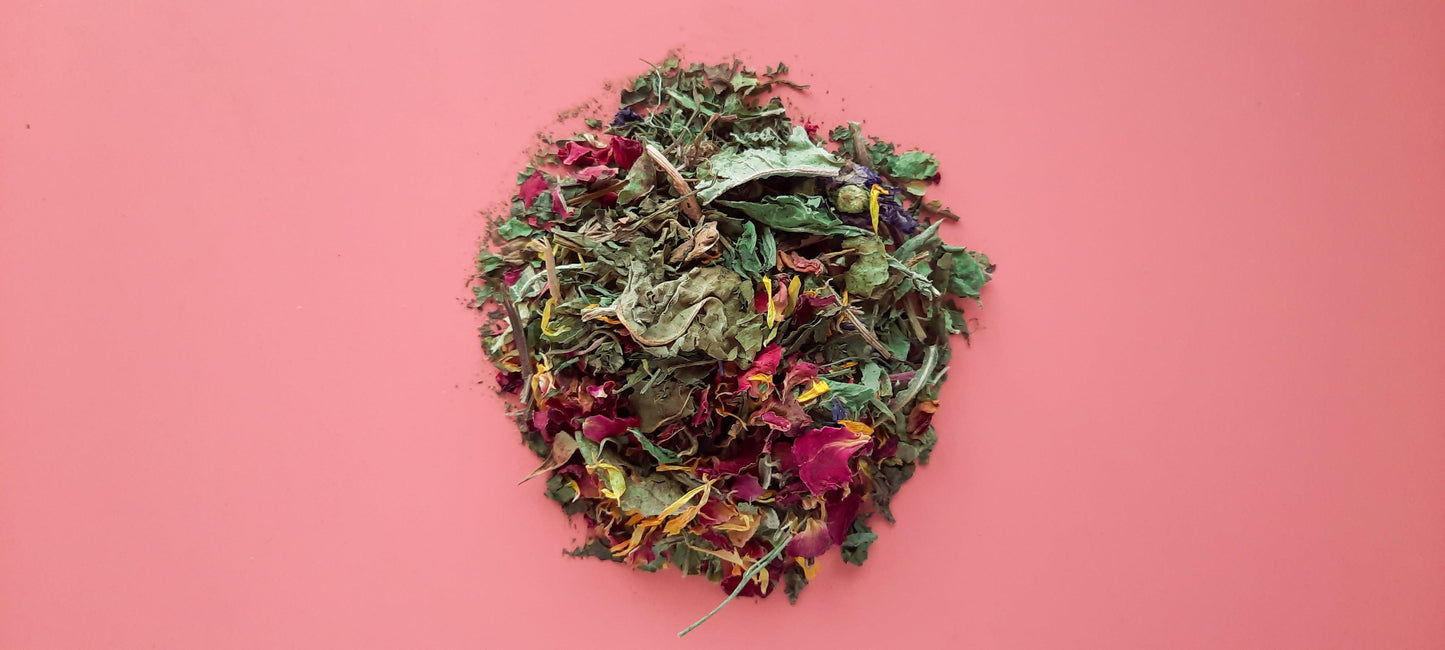 Buncation Box - Homemade For Pets