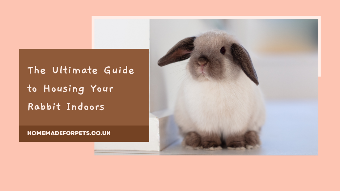 The Ultimate Guide to Housing Your Rabbit Indoors: