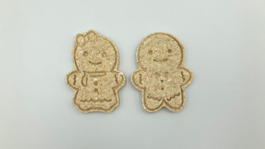 Gingerbread Family Treats