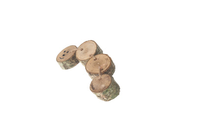 Wooden Caterpillar Chew