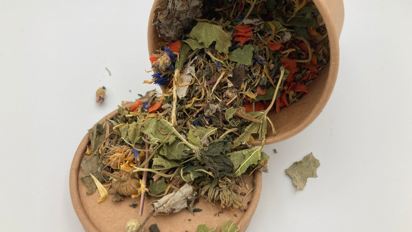 Autumn Blend Forage