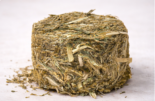 Timothy Hay Biscuits