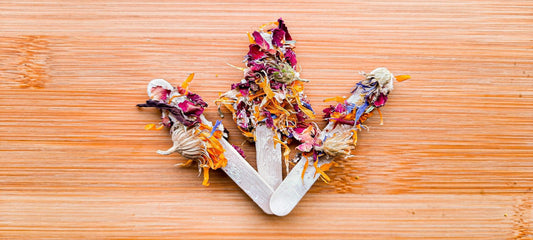 Mini Binky Bonding Sticks - Homemade For Pets