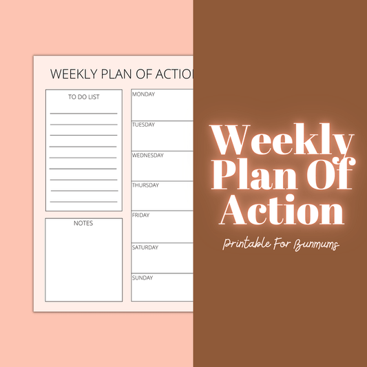 Weekly Plan Of Action - Homemade For Pets