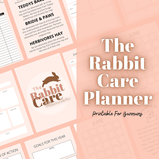 The Rabbit Care Planner Ebook - Homemade For Pets