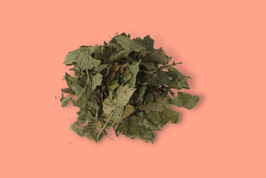 Blackcurrant Leaves - Homemade For Pets