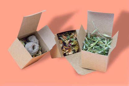 Mini Forage Box Toys - Homemade For Pets