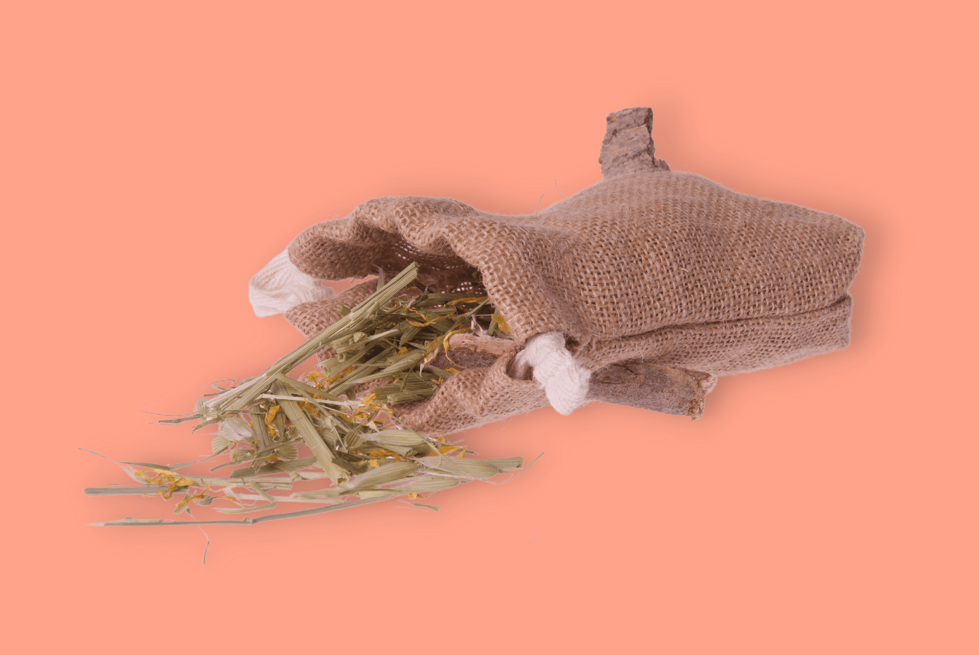 Forage Toss Bags - Homemade For Pets