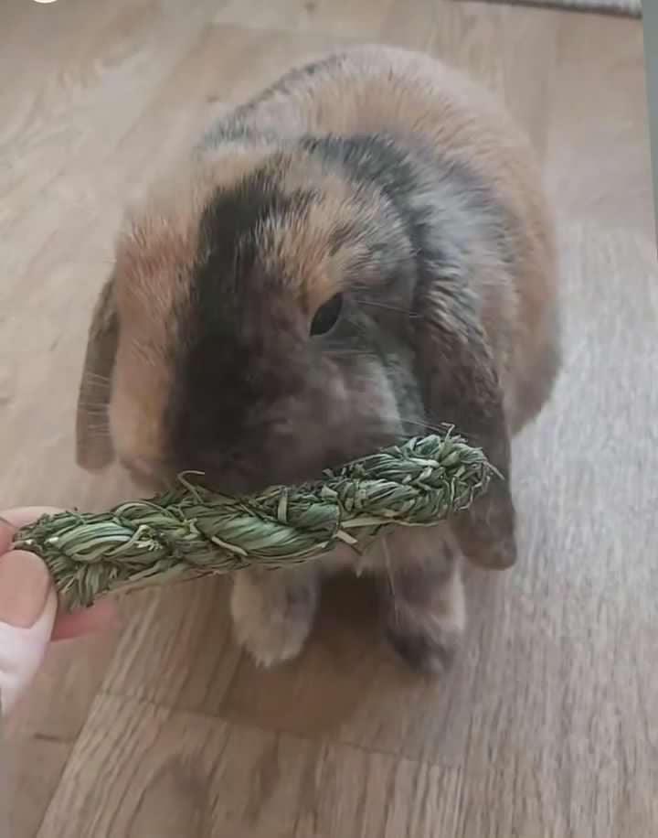 Timothy Hay Twist - Homemade For Pets